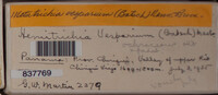Image Associated With the Occurence